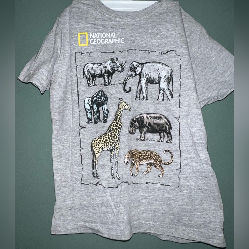 5t kids gray tee shirt